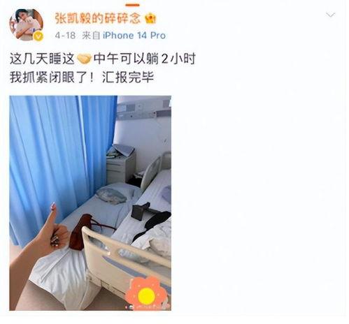 张凯毅被爆料了吗视频,真相究竟如何？